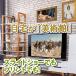 �B�ꂽ���E�̖���625 �G�� �ӏ� �f�ޏW ���p���p�\ �\�t�g �Z���y���o���J  Win��Mac 2���C�Z���X�b�_�E�����[�h�� �֘A�摜1