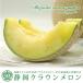  подарок Shizuoka Crown дыня высококлассный маска дыня примерно 1.3kg несессер ввод 1 шт подарок на Bon Festival подарок по случаю конца года .. товар внутри праздник праздник День матери задержка ..... День отца 