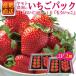  Yamanashi префектура производство высококлассный клубника бесплатная доставка ya Moto сельское хозяйство .. клубника [..C Berry ] кроме того, [ уже ...] 6 шарик ~15 шарик ввод (240g)×2 упаковка .2 коробка всего 4 упаковка .. товар подарок 