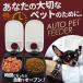  automatic feeder cat dog feeder 2 meal minute bait inserting pet feeder automatic feeding vessel hood dispenser pet bait stylish 