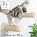  кошка подножка стена установка лестница кошка для кошка подножка кошка walk стена ручная работа кошка полки доска полки башня для кошки из дерева дерево diy bed леса 