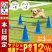  собака для бег с препятствиями собака Agility собака Agility paul (pole) собака для Jump тренировка собака Agility высота регулировка возможность движение Jump балка тренировка тренировка движение кукуруза 
