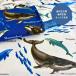 * море. живое существо море . живое существо рисунок oks ткань / море. живое существо . много принт осуществлен ткань /same* кит *umigame/ море . живое существо рисунок / входить . входить ./N26