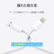 iPhone �[�d �P�[�u�� 2�{�Z�b�g ���C�g�j���O�P�[�u�� �}�� lightning USB-A PD20W�Ή� 2m 1.5m 1m 30cm �֘A�摜3