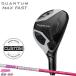 [ производство на заказ ][ стандартный товар ] женский Callaway k Anne tam Max быстрый wi мужской служебная программа Tour AD IRON 50 женский 