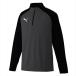 [PUMA] Puma TEAMLIGA 1/4 Zip верх (658017)(01) Puma черный [ посылать за товар ]