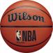 [Wilson] Wilson NBA FORGE 6 номер баскетбол (WZ20169016) Brown [ посылать за товар ]
