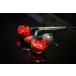 HEIR AUDIO ǥ  8.Ai (Red) ۥ ͭ ⲻե IEM  䡼˥ 8-Ai 8Ai