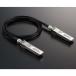 �y���[�I�z�y�|�C���g5�{�zTOP WING�@Silent Fidelity SFP�iSFP���W���[��2��+��p���P�[�u��3m�Z�b�g�j�@�I�[�f�B�I�O���[�hSFP���W���[���@�yP5�z