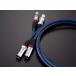 ti Glo nXLR кабель TIGLON MS-DR20X-AD(Azure Dragon) 1.0m пара 