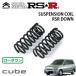 RSR 󥵥 եȤΤ 塼 Z10 H10.2H11.10 FF