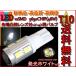 T10 клапан(лампа) белый 12v-24v 10SMD выпуклость линзы есть LED бесплатная доставка 