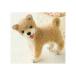 ڥϥޥʥH441-266ۤդդӤǤĤ   FELT DOGåȡƸڼʡۡC3-7-141-1U-OK