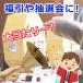 �哖���� �n���h�x�� BIG�T�C�Y ���g�x�� �S�[���h �y�� ���I�� ������ ���I ������21cm�~�x���a��14cm �֘A�摜2