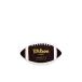 Wilson NCAA Mini Autograph Football