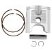 Piston M08750 Lt500R 3445Td 561P6