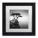 Trademark Fine Art The Lone Cypress by Dave MacVicar Frame 11 by 11