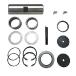 RAParts D103156 New King Pin Repair Kit Fits Case Tractors 480C 480D 480E 580C 580D 580E