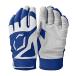 EvoShield SRZ-1(TM) Youth Batting Gloves - Royal, Youth Small