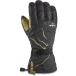 Dakine Team Phoenix Gore-TEX Glove - Sammy Carlson - Large