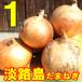  new onion Awaji Island free shipping 2024 year production Special production sphere leek 1kg trial 