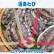  raw .... from . till . sashimi quality ....LL size gift 500g