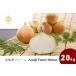  Awaji Island шар лук порей 20kg AwajiFancyOnion бесплатная доставка ( Hokkaido * Okinawa префектура. +500 иен ).. сон ферма .. шар Saburou юг ... город 