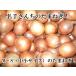  Awaji Island производство шар лук порей есть перевод 10kg для бытового использования . пожалуйста!2025 год производство * регион ограничение бесплатная доставка . доставим!