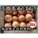 �W�H���Y�ʂ˂��E���Ⴊ�����i���[�N�C���j �P�Okg 2026�N�Y�@�n����著�������ł��͂����܂��I �֘A�摜1