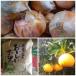 �W�H���Y�ʂ˂�5kg �W�H���G�߂̊��k3kg�W�H���Y����3kg �����肳�񂿂̋G�߂̃W����1�{�@�n����著�������ł��͂��������܂��I