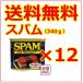  spam SPAM. salt pork Rancho mi-to12 can Okinawa . earth production 