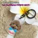 �����̃y�b�g�� �t�F�C�X ������ �A�N�����L�[�z���_�[�i�ی^�j�� �L �I�[�_�[ �I���W�i�� ���a5cm �L�[�z���_�[ �o�b�O�`���[��