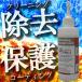 �� ����� �K�~�� diy �T�rAtoZ 200cc �K��蓯���{�H �֘A�摜3