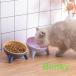  кошка домашнее животное посуда товары посуда кошка капот миска .. кошка для .. корм inserting .. кошка рис тарелка приманка тарелка для домашних животных посуда тарелка . кошка приманка inserting контейнер столик для мисок 