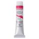 ksakabe(Kusakabe) акрил краситель a ключ laNAQ6-002kinakli Don красный 20ml 365002