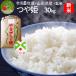 . мир 8 год производство новый рис блеск . неочищенный рис 30kg Yamagata префектура производство специальный культивирование рис . пестициды . химия удобрение один и т.п. рис подарок Special A рис подарок новый внутри праздник .
