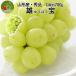  Yamagata префектура производство виноград самец .1.( примерно 700g) превосходящий товар крупный фрукты несессер входить прямая поставка от производителя Yamagata префектура производство . новогоднее поздравление подарок включение в покупку не возможно ..OK бесплатная доставка день рождения фрукты 
