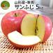  apple . preeminence goods 5kg Yamagata prefecture production sun .. apple with translation .. is good apple . home use cooking economical private car direct delivery from producing area free shipping distant place postage addition 