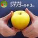  яблоко превосходящий товар si nano Gold 2kg ( примерно 6~9 шар входить ) фрукты Yamagata префектура производство .. для несессер ввод подарок коробка . новогоднее поздравление фрукты маленький шарик 