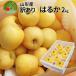 | now, delivery middle!| apple molasses entering is .. with translation 2kg fruit Yamagata prefecture production approximately 5~10 sphere go in home use your order name production goods free shipping fruit small sphere .. fragrance 