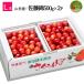  вишня Sato .L шар 1kg(500g×2) Yamagata Special превосходящий 2025 Yamagata префектура производство sa Clan bo специальный отбор несессер входить подарок на Bon Festival бесплатная доставка фрукты подарок подарок ..