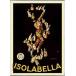  poster art Isolabella( Leo net kapiero) frame goods aluminium Basic frame 