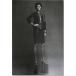 �|�X�^�[ �J�[�� ���K�[�t�F���h �V���l�� The Little Black Jacket �A�[��