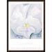  poster art White Pansy( George spotted laurel -f) frame goods wood high grade frame 