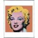  Marilyn Monroe 1964 (Orange)( Anne ti War ho ru) frame goods aluminium Basic frame 