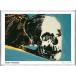  Skull 1976 year ( Anne ti War ho ru) frame goods aluminium Basic frame 