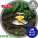 �n���b�N�X HARAX ��^�z�[�X�K�C�h�@�O���R�� RH-280 <�R�Z�b�g>