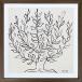 Henri Matisse Anne li* Matiz искусство рама Le platane (S) [bicosya/ прекрасный . фирма ] IHM-62487 размер 375x375x32 (image 298x298mm) mm