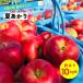 8 ежемесячный доход . редкий товар вид [ лето ...10 kilo коробка товар с некоторыми замечаниями ] сельское хозяйство . вода производство большой .. лето яблоко Shinshu производство прямая поставка от производителя Nagano префектура ограниченный товар вид 