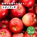 [si nano pchi3 kilo коробка A товар B товар ] маленький шар яблоко Nagano префектура дешево замутненный . Shinshu прямая поставка от производителя фрукты фрукты редкий подарок .. семья 3kg